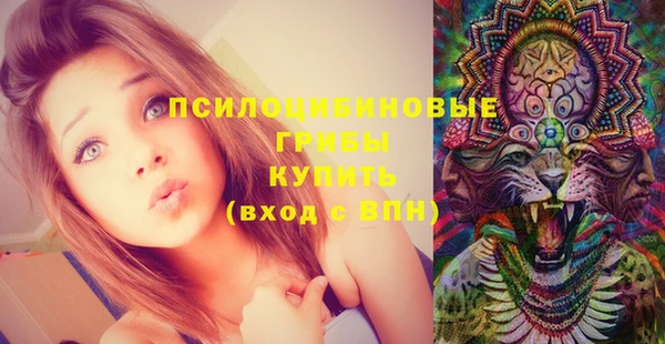 эйфоретик Горнозаводск