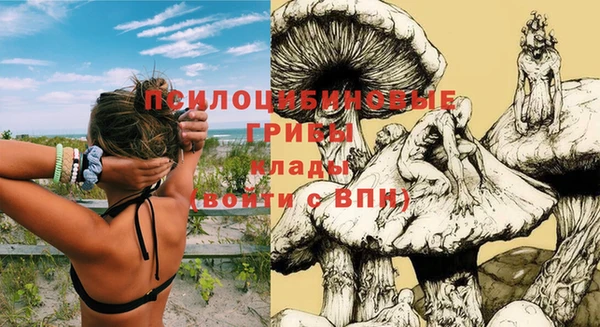 эйфоретик Горнозаводск
